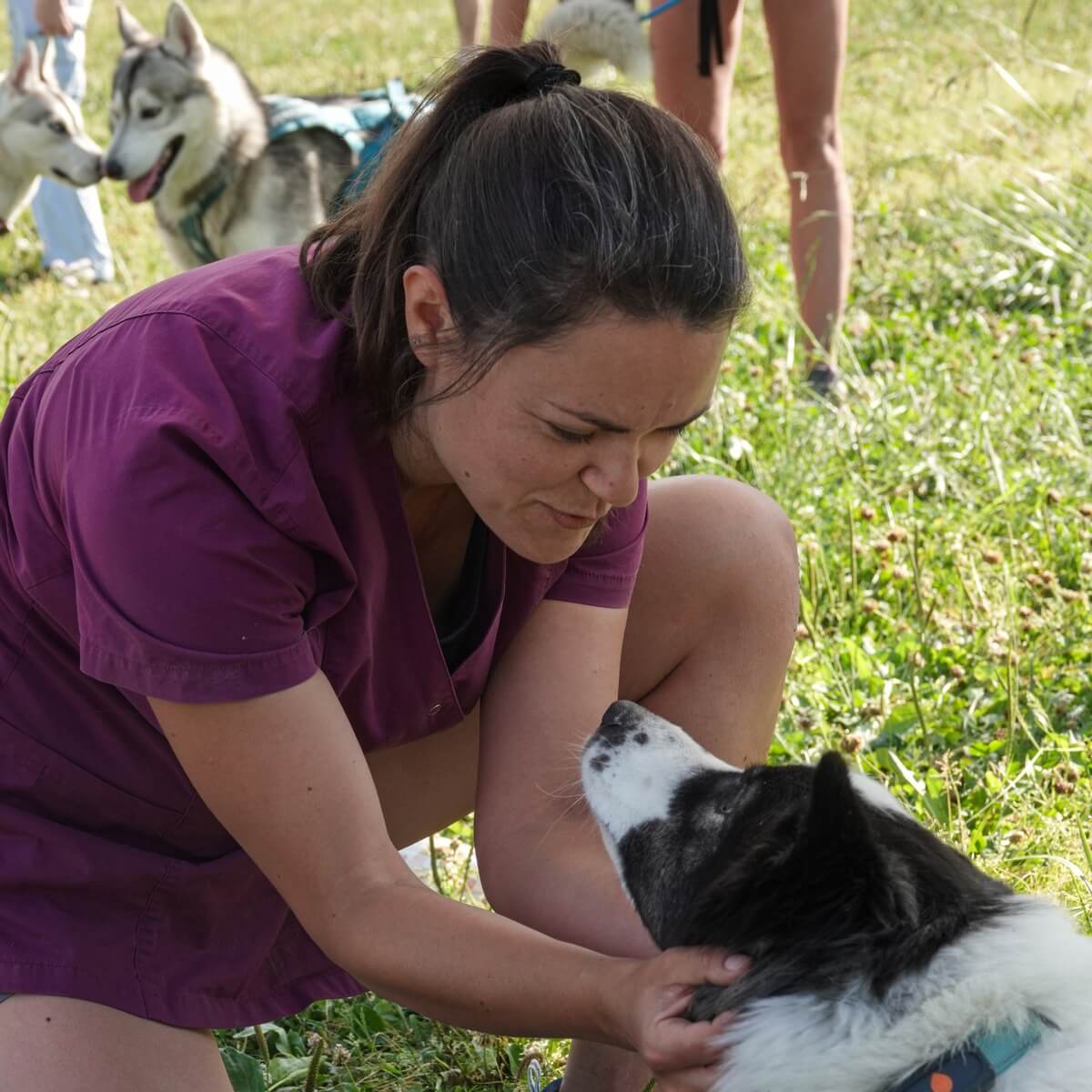 Dr. Gaëlle Morat - Vétérinaire Ostéopathe en Isère et Savoie - Vétérinaire ostéopathe pour chiens, chats et NAC en Isère